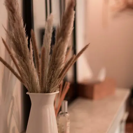 Au Coeur De La 公寓